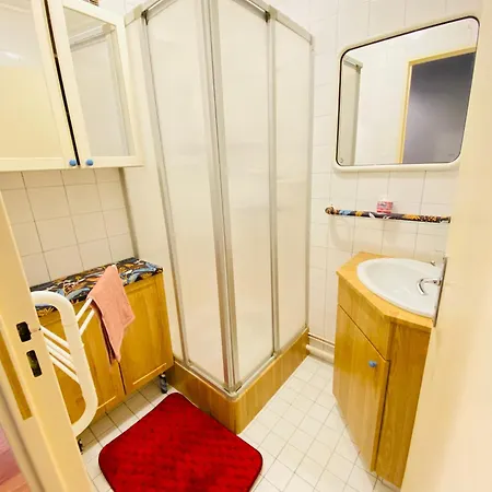 Sadam Nest Le Mans